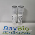 Baybio Baypure Magnetic Blood Genomic DNA Kit